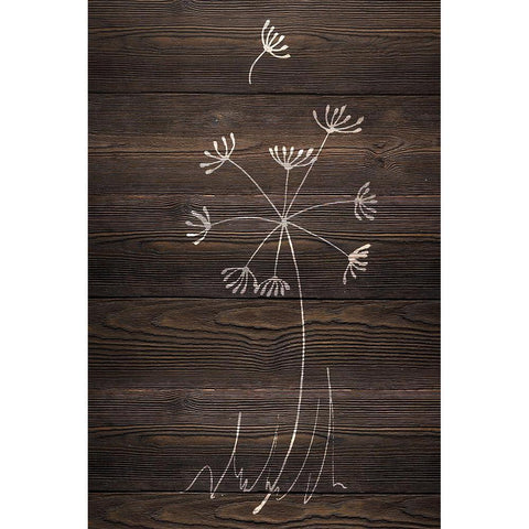 Late Blooms II Black Modern Wood Framed Art Print with Double Matting by SD Graphics Studio