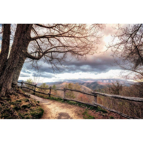 Mountain Walks Black Modern Wood Framed Art Print by Amos, Andy