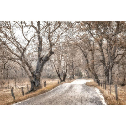 Late Afternoon Walk Black Modern Wood Framed Art Print with Double Matting by Amos, Andy