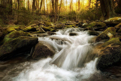 Roaring Fork White Modern Wood Framed Art Print with Double Matting by Amos, Andy