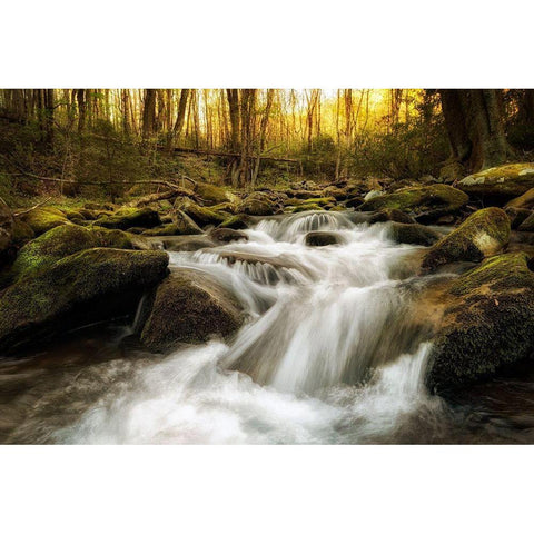 Roaring Fork Black Modern Wood Framed Art Print by Amos, Andy