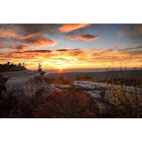 Sunrise in Fall I Black Modern Wood Framed Art Print by Amos, Andy