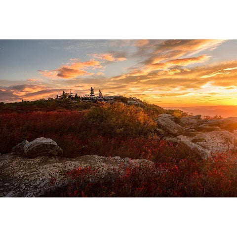 Sunrise in Fall II Black Modern Wood Framed Art Print with Double Matting by Amos, Andy