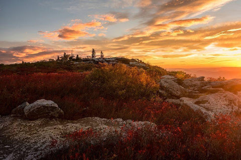 Sunrise in Fall II White Modern Wood Framed Art Print with Double Matting by Amos, Andy