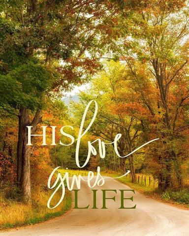 His Love Gives Life Black Ornate Wood Framed Art Print with Double Matting by Amos, Andy