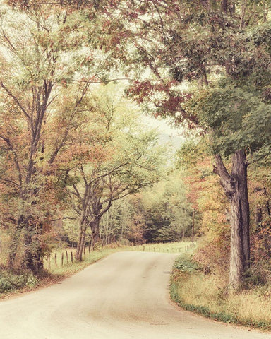 Along The Path White Modern Wood Framed Art Print with Double Matting by Amos, Andy