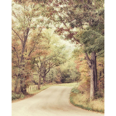 Along The Path Black Modern Wood Framed Art Print by Amos, Andy