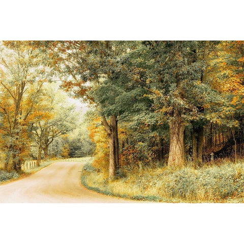 Crisp Season White Modern Wood Framed Art Print by Amos, Andy