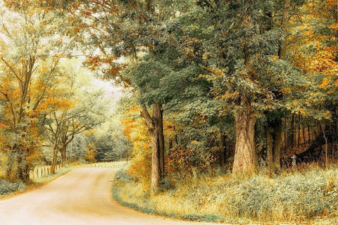 Crisp Season White Modern Wood Framed Art Print with Double Matting by Amos, Andy