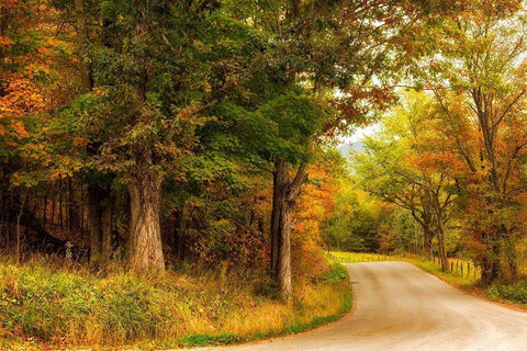 Autumns First Day Black Ornate Wood Framed Art Print with Double Matting by Amos, Andy