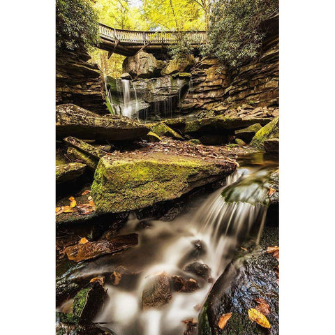 Under the Bridge I Black Modern Wood Framed Art Print with Double Matting by Amos, Andy