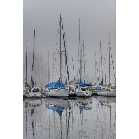 Sailing Boats Black Modern Wood Framed Art Print with Double Matting by Amos, Andy