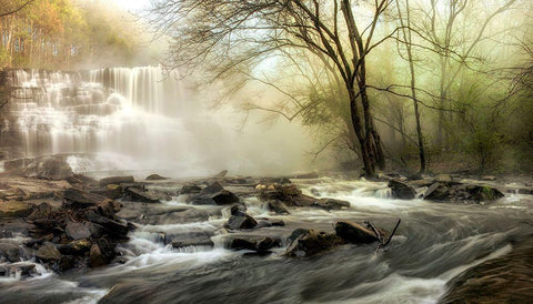 Waterfall Creek Black Ornate Wood Framed Art Print with Double Matting by Amos, Andy