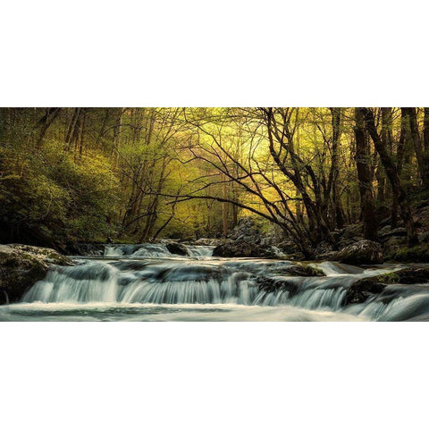 Tremont at Sunrise White Modern Wood Framed Art Print by Amos, Andy