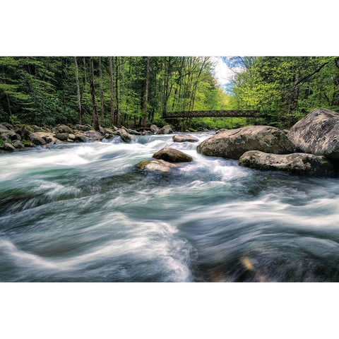 Rocky River Stream White Modern Wood Framed Art Print by Amos, Andy