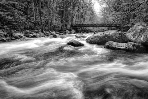 Flow Of The Creek White Modern Wood Framed Art Print with Double Matting by Amos, Andy