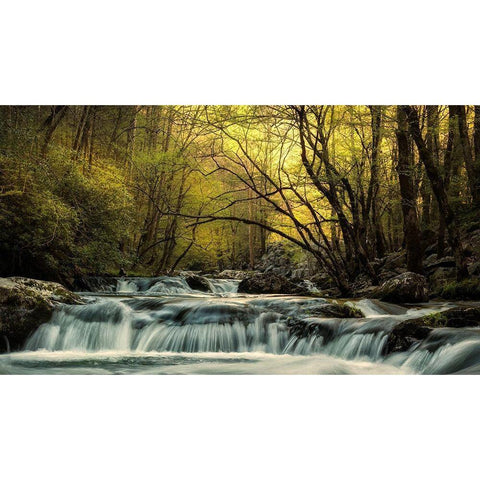 Tremont at Sunrise Black Modern Wood Framed Art Print with Double Matting by Amos, Andy