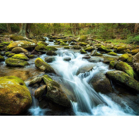 Moss Rocks Black Modern Wood Framed Art Print by Amos, Andy