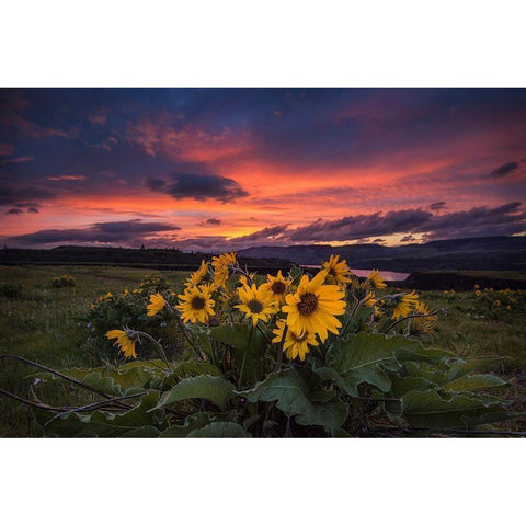 Sunset at the Gorge Black Modern Wood Framed Art Print by Amos, Andy