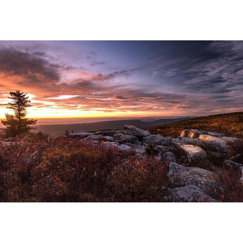 Sunrise in Fall III White Modern Wood Framed Art Print by Amos, Andy