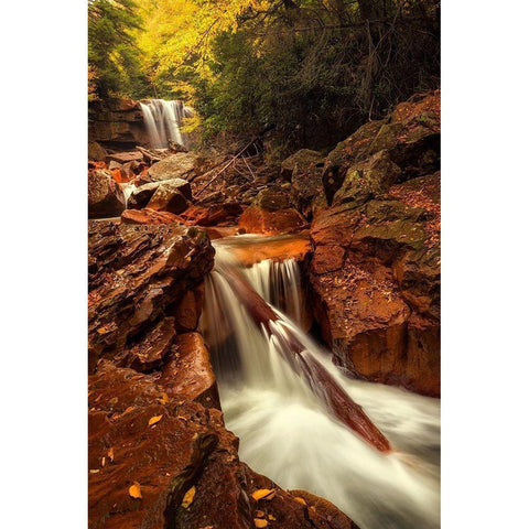 Natures Path Black Modern Wood Framed Art Print with Double Matting by Amos, Andy