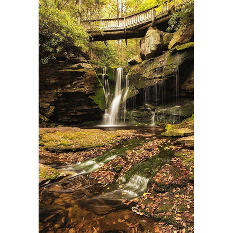 Under the Bridge II Gold Ornate Wood Framed Art Print with Double Matting by Amos, Andy