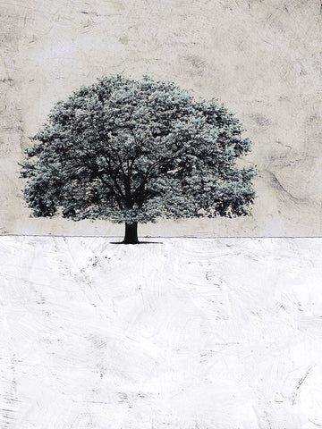 Old Black Tree Black Ornate Wood Framed Art Print with Double Matting by Mabat, Ynon