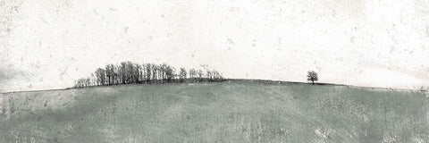 Muted Distant Trees Black Ornate Wood Framed Art Print with Double Matting by Mabat, Ynon