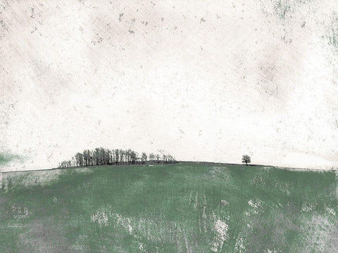 Distant Trees White Modern Wood Framed Art Print with Double Matting by Mabat, Ynon