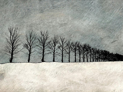 Winter Row Black Ornate Wood Framed Art Print with Double Matting by Mabat, Ynon