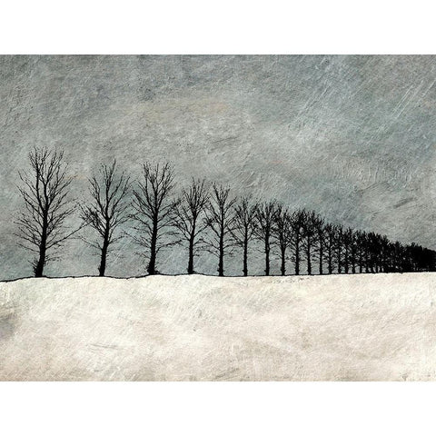 Winter Row Black Modern Wood Framed Art Print by Mabat, Ynon