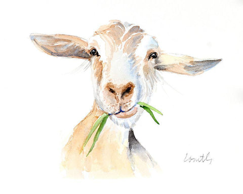 Goat III White Modern Wood Framed Art Print with Double Matting by Loreth, Lanie