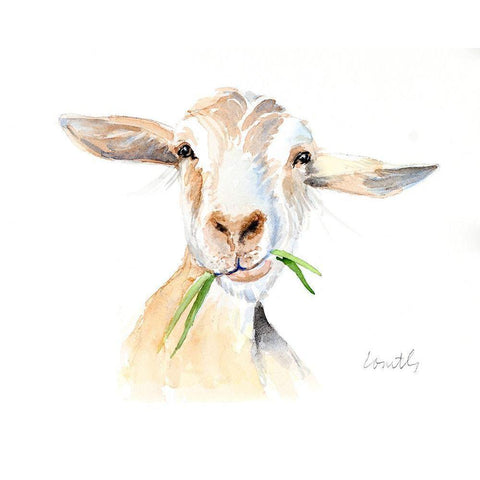 Goat III White Modern Wood Framed Art Print by Loreth, Lanie