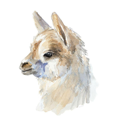 Side Portrait Llama White Modern Wood Framed Art Print by Loreth, Lanie