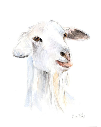 Goat I White Modern Wood Framed Art Print with Double Matting by Loreth, Lanie