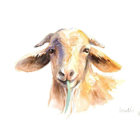 Goat IV White Modern Wood Framed Art Print by Loreth, Lanie