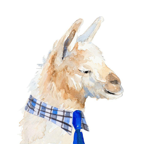 Formal Llama White Modern Wood Framed Art Print with Double Matting by Loreth, Lanie