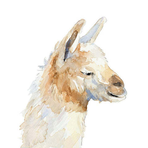 Sleepy Llama White Modern Wood Framed Art Print with Double Matting by Loreth, Lanie