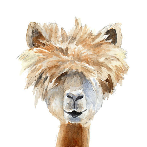 Llama with Bangs White Modern Wood Framed Art Print by Loreth, Lanie