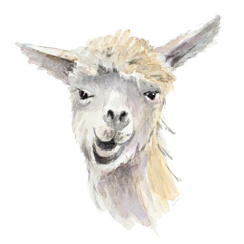 Talking Llama White Modern Wood Framed Art Print by Loreth, Lanie