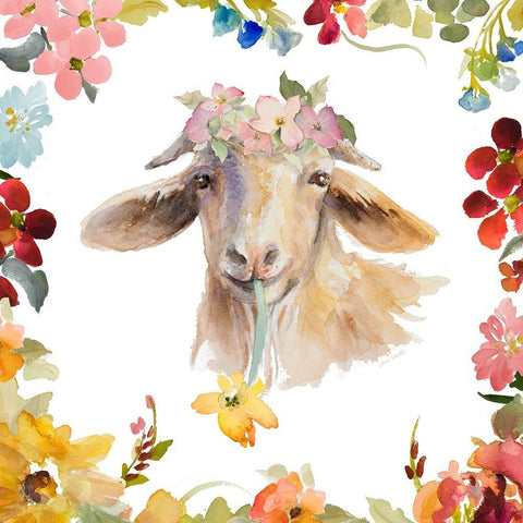 Goat with Floral Border White Modern Wood Framed Art Print by Loreth, Lanie