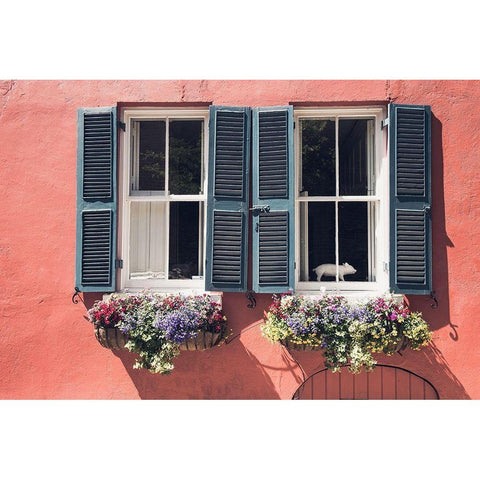 Window Charm Black Modern Wood Framed Art Print by Bill Carson Photography