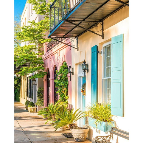 Southern Charm Gold Ornate Wood Framed Art Print with Double Matting by Bill Carson Photography