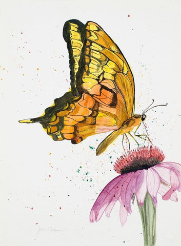 Butterfly Nectar White Modern Wood Framed Art Print with Double Matting by Odum, Jan