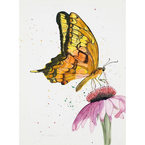 Butterfly Nectar Black Modern Wood Framed Art Print with Double Matting by Odum, Jan