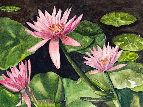 Water Lillies Black Ornate Wood Framed Art Print with Double Matting by Odum, Jan