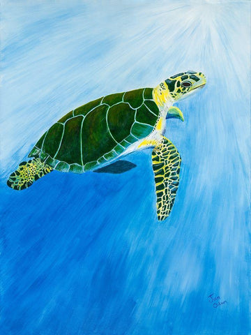 Green Turtle Black Ornate Wood Framed Art Print with Double Matting by Odum, Jan