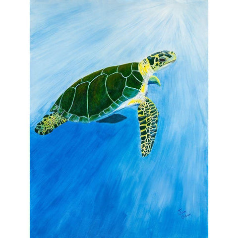 Green Turtle Black Modern Wood Framed Art Print by Odum, Jan