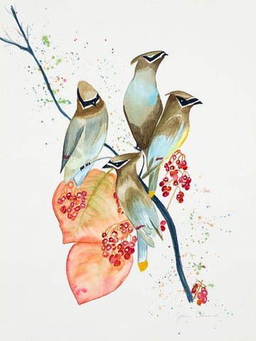 Birds on Branch White Modern Wood Framed Art Print with Double Matting by Odum, Jan