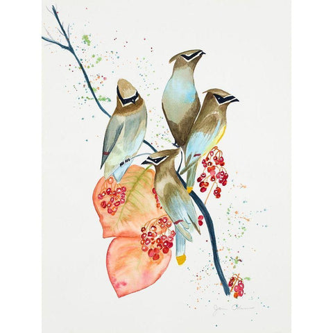 Birds on Branch Black Modern Wood Framed Art Print by Odum, Jan